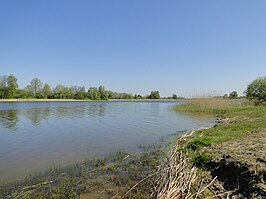 Neetzkaer See bij Neetzka