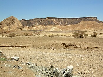 Ramon Monocline on the southern side of Makhtesh Ramon