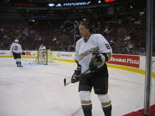 Teemu-ducks.jpg