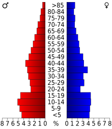 Schéma représentant la population du comté, par tranche d'âge. En rouge, à gauche, les femmes, en bleu à droite, les hommes.