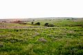 Image 26The Great Plains of Kansas (from Kansas)