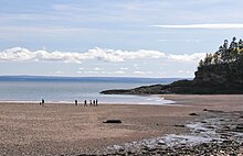 A sandy beach at dusk the sand on the bottom half, and the water and the horizon on the top half. There's a group of people walking across the shoreline, and on the right side of the picture there's a rock formation jutting upwards from the sand with evergreen trees on it