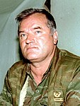 Ratko Mladić vid Sarajevos internationella flygplats 1993.