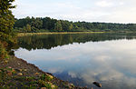 Haidenweiher