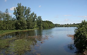 Einmündung des Herpeler Bachs in den See