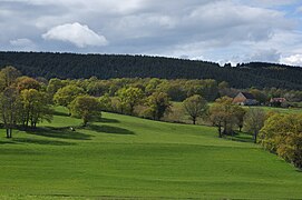 Vallée à l'est de Noyant-d'Allier.