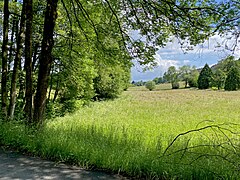 Junkersbeck fließt begleitet von Ufergehölz durch Weiden