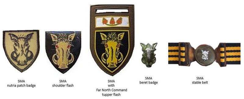 SADF era Soutpansberg Military Area insignia