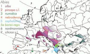 Areály jednotlivých druhů jedlí v Evropě a severní Africe