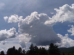 Cumulus mediocris oscura.