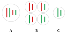 Hybridogenesis in water frogs gametes.svg