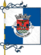 Flagge des Concelhos Lajes das Flores