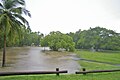 Flooding of a creek due to heavy monsoonal rain and high tide in Darwin, Northern Territory, Australia.