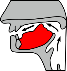 Articulação da consoante palatal