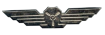 Air Crew chief's Badge