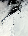 Paeninsula Antarctica, Pluteus glaciei Larsen, et glacies marina quae aquas circa regionem contegit.