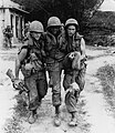 PFC Mauro, PFC Carter, e SP4 Widmer (Carter si è ferito ad un piede con una pistola. 45 durante il massacro di Mỹ Lai).