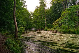 Südlich der alten Mühle