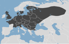 Distribuição da toupeira-europeia na Europa