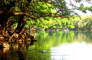 Lago de Camécuaro Dry-winter humid subtropical climate (Cwa)