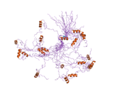 2dmi: Solution structure of the first and the second zf-C2H2 like domains of human Teashirt homolog 3