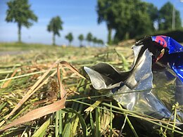 In de berm ligt een blikje energy drink van het merk Red Bull, dat als zwerfafval daar is neergeworpen. Een maaimachine dat het bermgras maaide, heeft het blikje opengescheurd. De hierdoor ontstane scherpe deeltjes, kunnen runderen van binnen open snijden en een vreselijke, langzame dood veroorzaken. Red Bull behoort tot de top 3 van merken die in de berm worden gevonden volgens de @Zwerfinator.