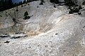 Petjades d'os negre a Hot Spring, Parc Nacional de Yellowstone