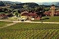 Image 142Vineyards valley in Rio Grande do Sul (from Tourism in Brazil)