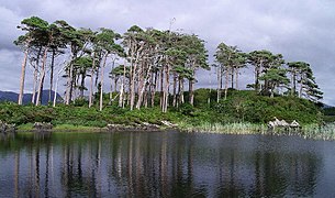 Lago Derryclare.