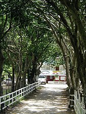 Gaby's restaurant in Yauco