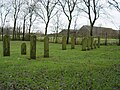 Cementerio judío en Tacozijl.