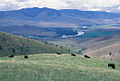 Bison Range