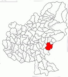 Location in Mureș County