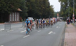 Het peloton in de Münsterland Giro van 2007