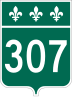 Route 307 marker