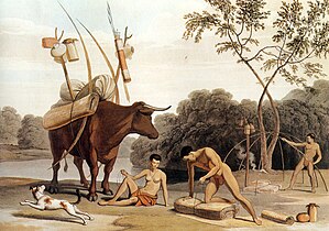 Khoikhoi desmantelando sus chozas, preparándose para trasladarse a nuevos pastos. Aguatinta (1805)