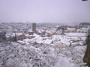 Vista hivernal