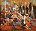 Tom Thomson, The Birch Grove, Autumn, Winter 1915-16