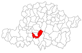 Location in Arad County