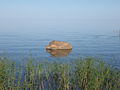 Peipsi järv Mustvee ja Lohusuu vahel