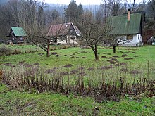 Photographie d'un verger envahi de taupinières au milieu d'un hameau.
