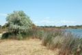 Paysage de Camargue.