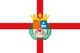 Teruelgo bandera