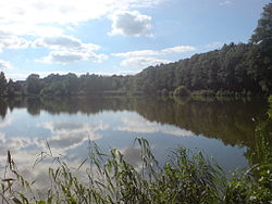 Skyline of Waldmohr