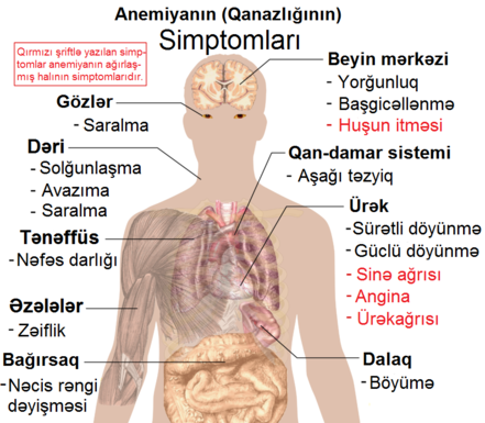 Anemiyanın (Qan azlığının) simptomları