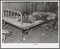 Image 15African American boy in a sharecropper shack, New Madrid County, 1938. (from Missouri)