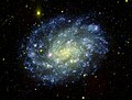 Una imatge de NGC 300 en l'espectre visible (groc-roig) i ultraviolat (blau) presa pel "Galaxy Evolution Explorer (GALEX)". Las estrelles jjóvenes, blaves i brillants apareixen en color blau al braços espirals i les velles, vermelles i menys calentes en groc i prop del nucli galàctic.