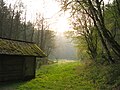 Lieserpfad in der Eifel