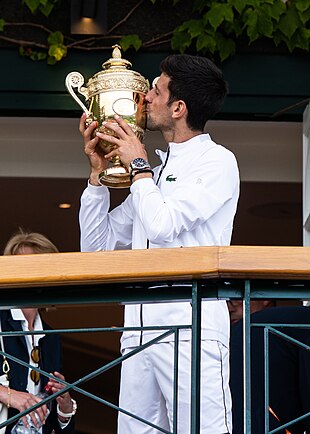 Novak Djokovic, simplu masculin