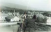 Pinus in stara šola 1950